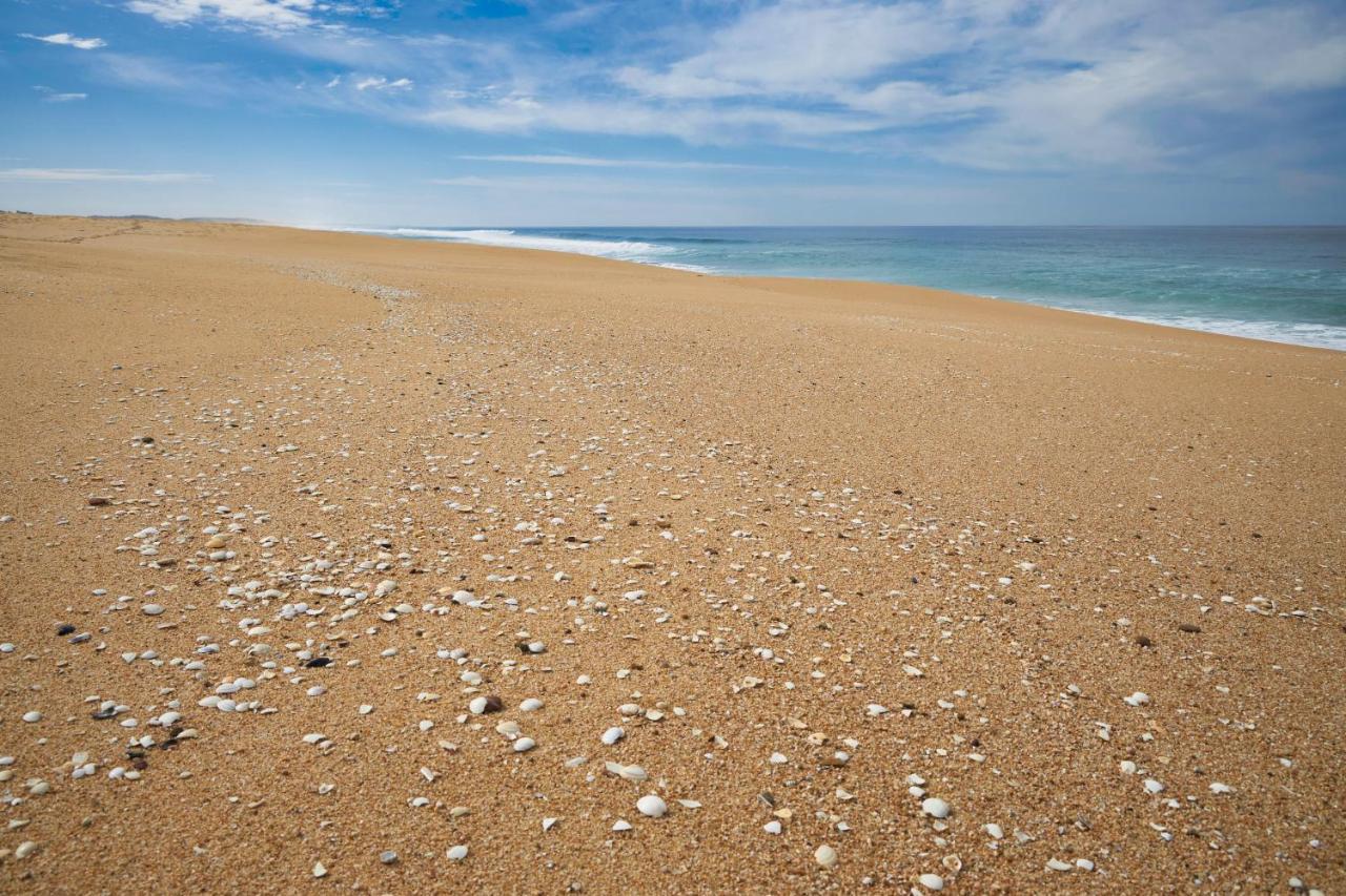 apart@CostaSantoAndré Beach Santiago do Cacém Exterior foto